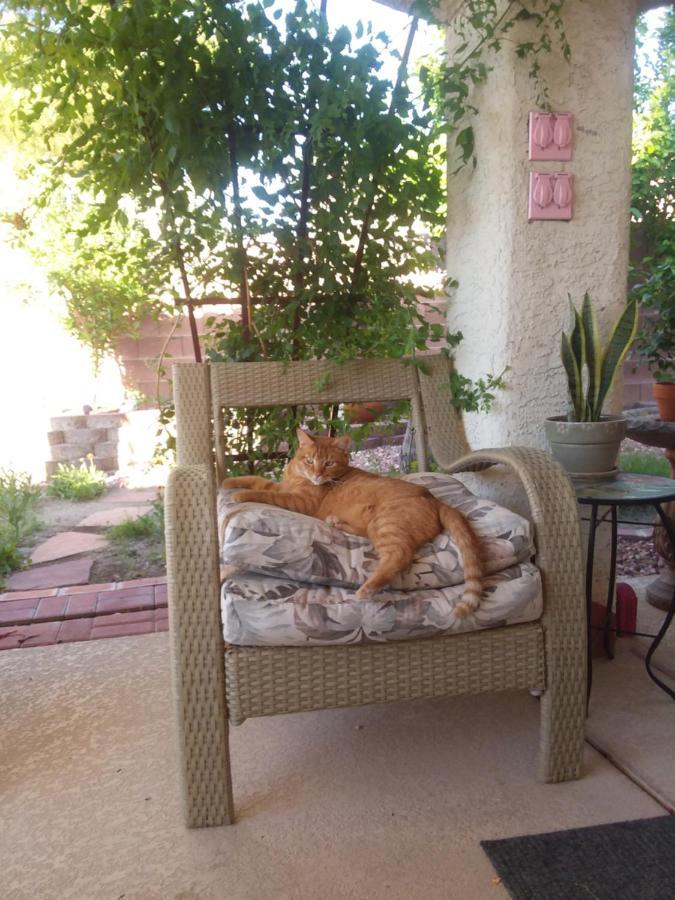 Catmosphere Las Vegas Dış mekan fotoğraf